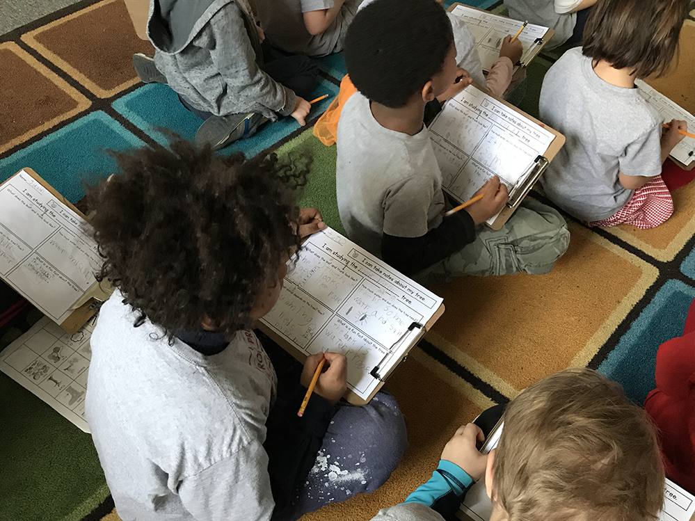 Shelly Tremaglio’s kindergarten students are researching trees. (Photo credit: StandardsWork)